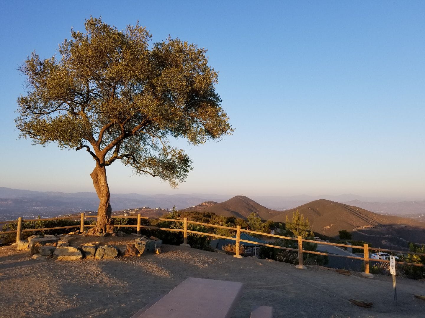 The tree at the summit and view of the foothills and mountains to the East from Double Peak Park